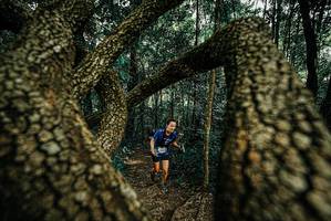 BIB: 
                            <button type="button" onclick="openModal(25670939)" class="btn btn-primary btn-sm float-right btn-popup" data-toggle="modal" data-target=".modal-high-quality">
                        <i class="fas fa-shopping-cart"></i> Add to Cart
                    </button>
                                            <button type="button" onclick="isThisMe(25670939, true)" class="btn btn-success btn-sm float-right btn-popup btn-isme hidden" data-toggle="tooltip" data-placement="bottom" title="นี่คือรูปของคุณใช่ไหม คลิกที่นี่เพื่อเอาเข้าอัลบั้ม">
                        <i class="fas fa-plus"></i> Add to album
                    </button>
                    <button type="button" onclick="isThisMe(25670939, false)" class="btn btn-warning btn-sm float-right btn-popup btn-isnotme hidden">
                        <i class="fas fa-ban"></i> Remove from album
                    </button>